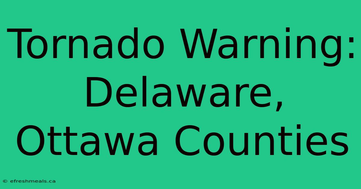 Tornado Warning: Delaware, Ottawa Counties