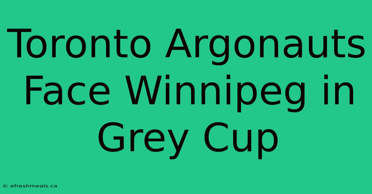 Toronto Argonauts Face Winnipeg In Grey Cup