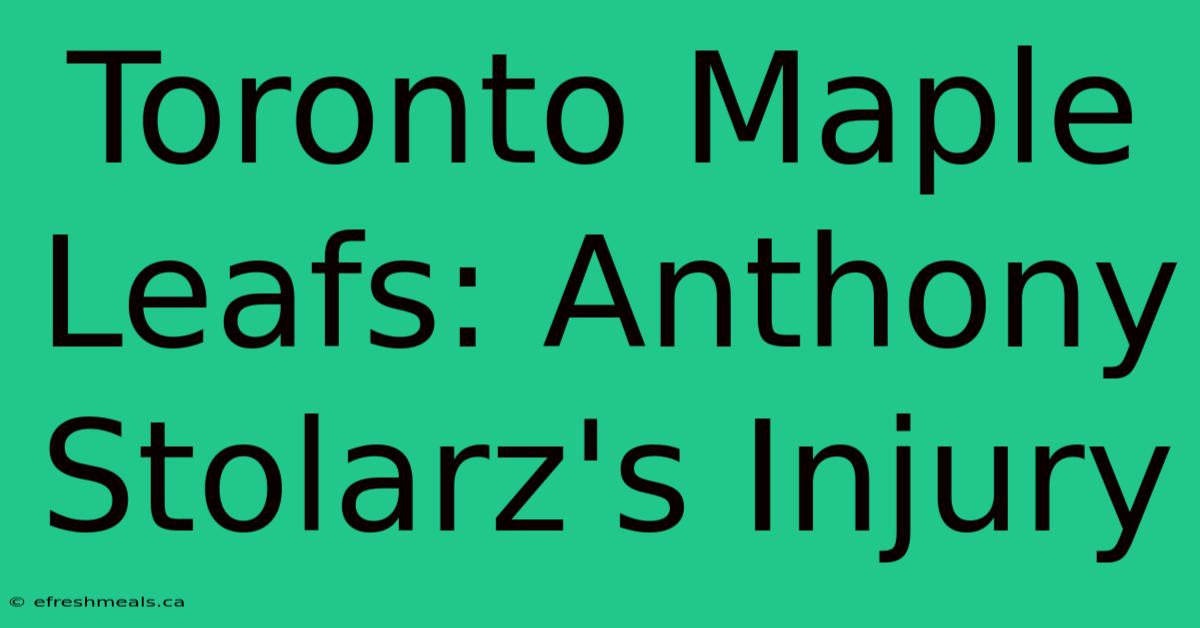 Toronto Maple Leafs: Anthony Stolarz's Injury