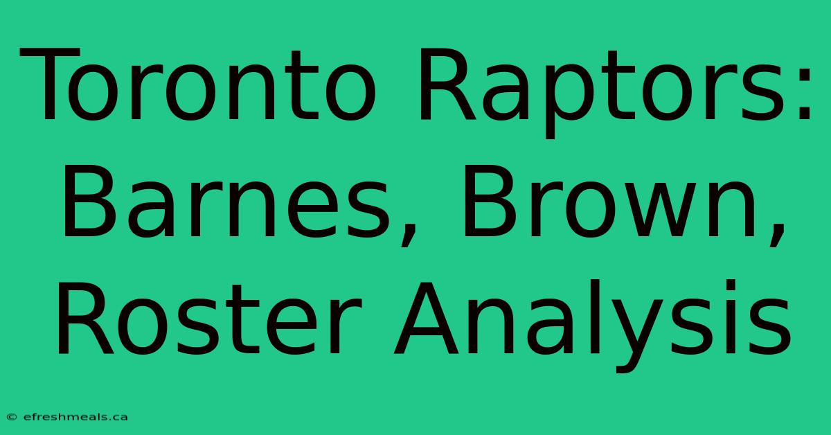 Toronto Raptors: Barnes, Brown, Roster Analysis