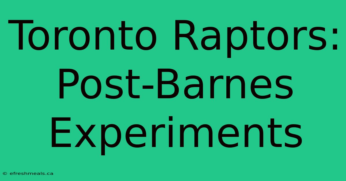 Toronto Raptors: Post-Barnes Experiments