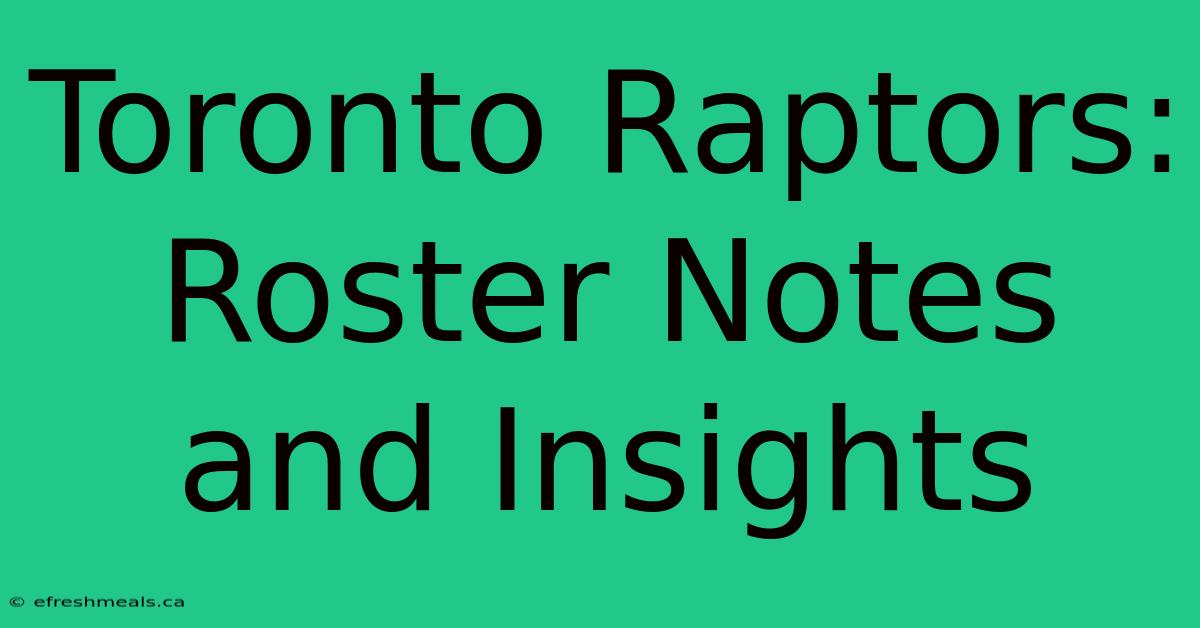 Toronto Raptors: Roster Notes And Insights