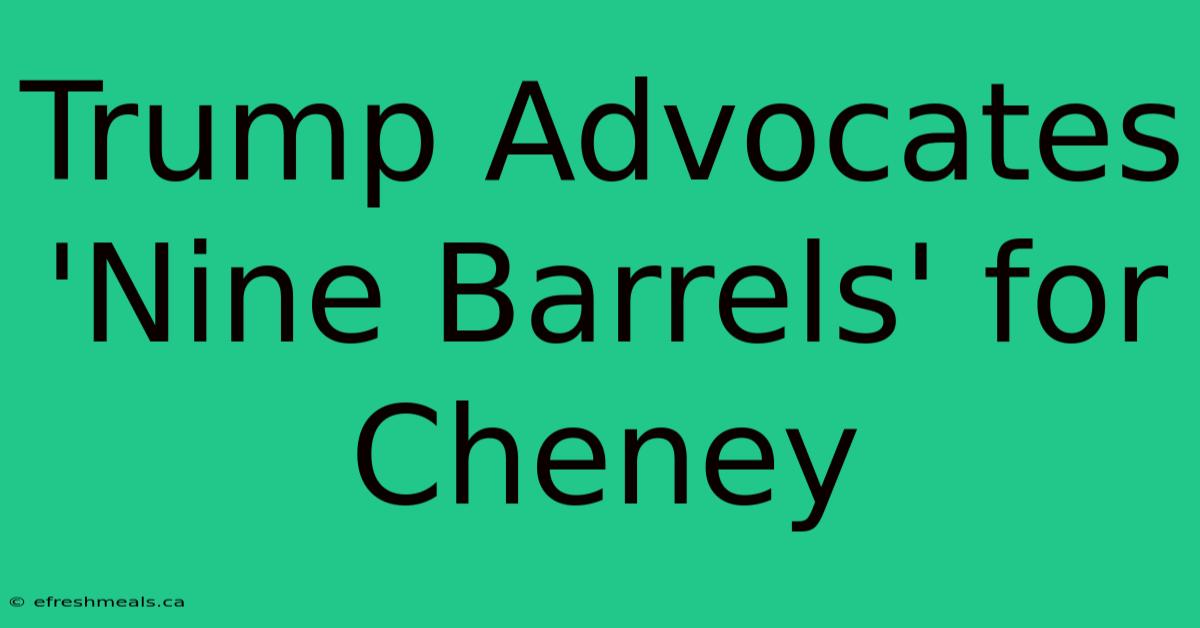 Trump Advocates 'Nine Barrels' For Cheney