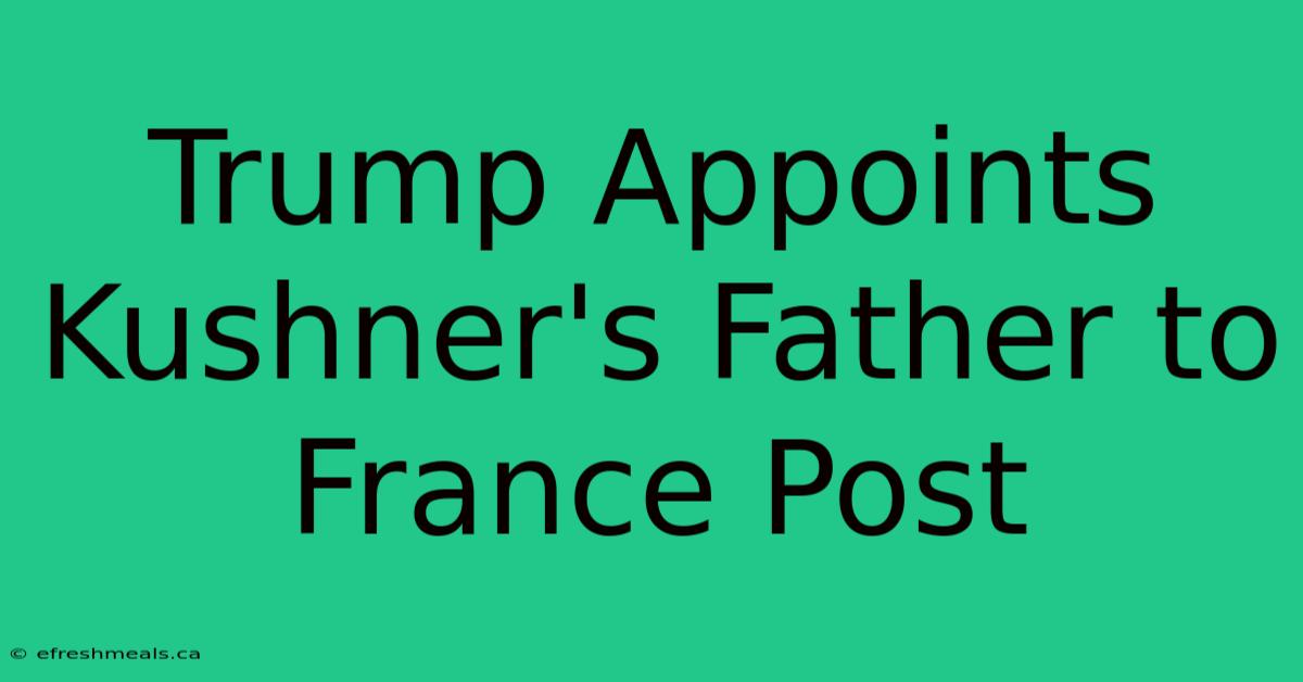 Trump Appoints Kushner's Father To France Post