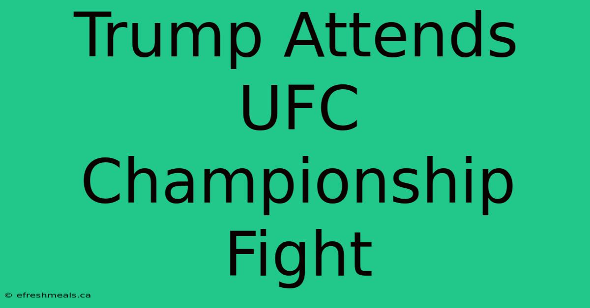 Trump Attends UFC Championship Fight