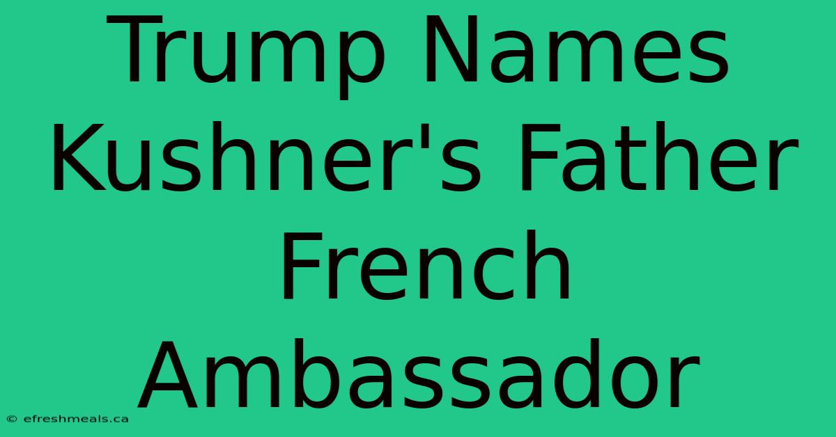 Trump Names Kushner's Father French Ambassador