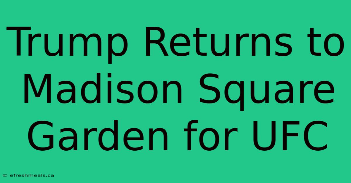 Trump Returns To Madison Square Garden For UFC