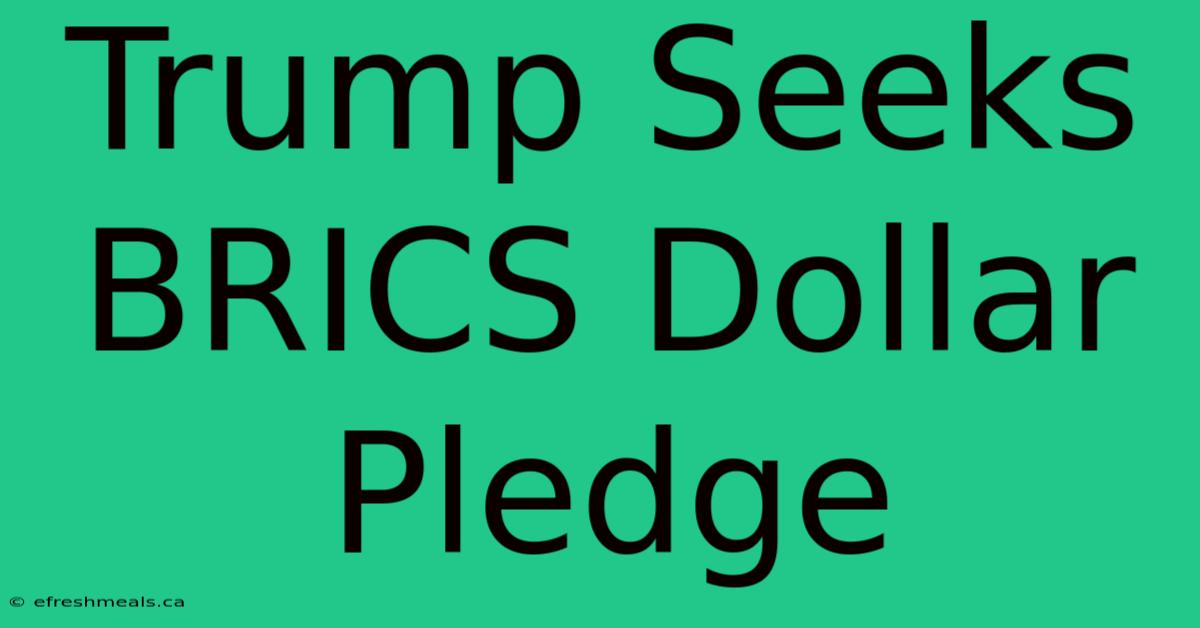 Trump Seeks BRICS Dollar Pledge