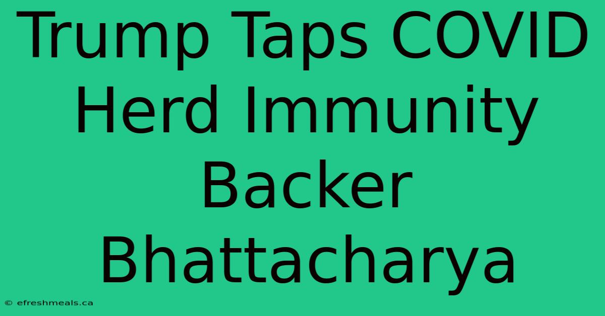 Trump Taps COVID Herd Immunity Backer Bhattacharya