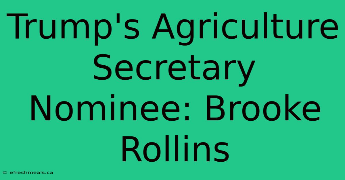 Trump's Agriculture Secretary Nominee: Brooke Rollins