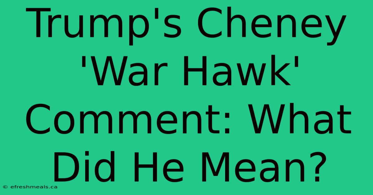 Trump's Cheney 'War Hawk' Comment: What Did He Mean? 