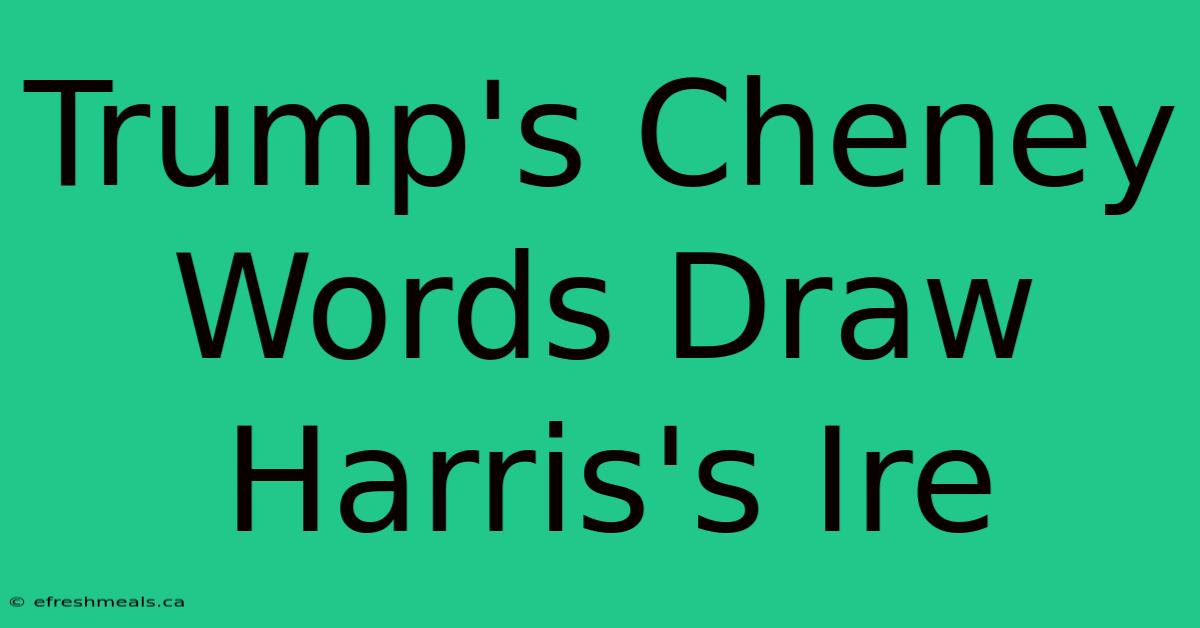 Trump's Cheney Words Draw Harris's Ire