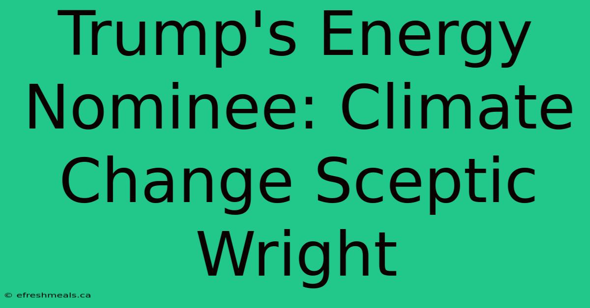 Trump's Energy Nominee: Climate Change Sceptic Wright