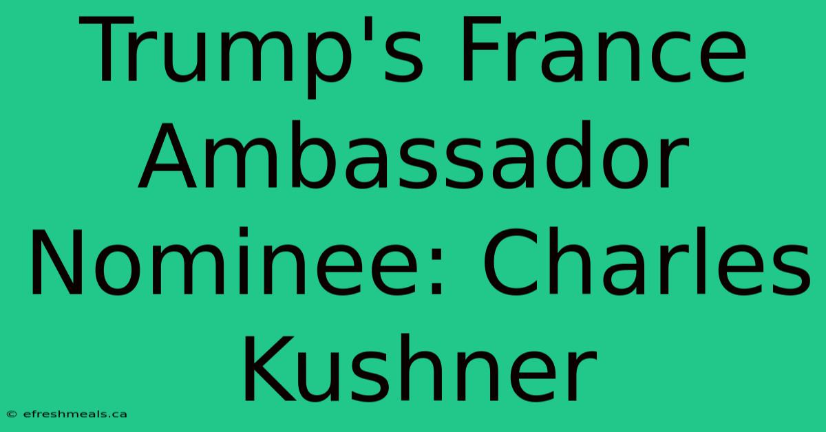 Trump's France Ambassador Nominee: Charles Kushner