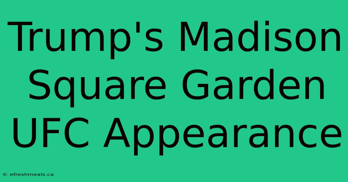 Trump's Madison Square Garden UFC Appearance