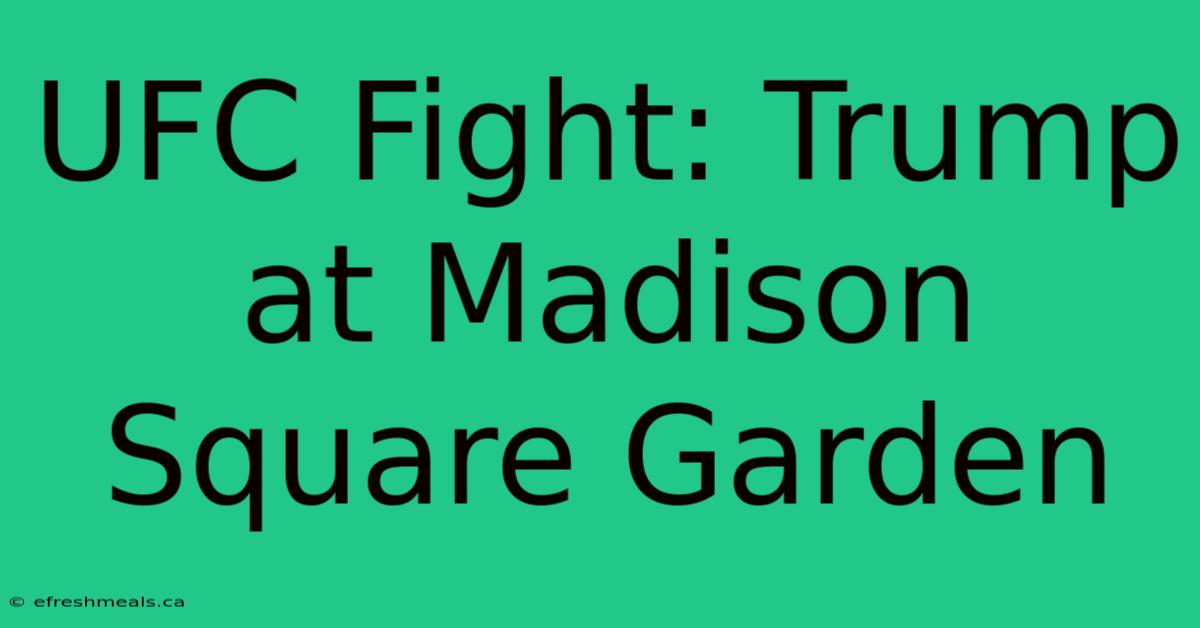 UFC Fight: Trump At Madison Square Garden