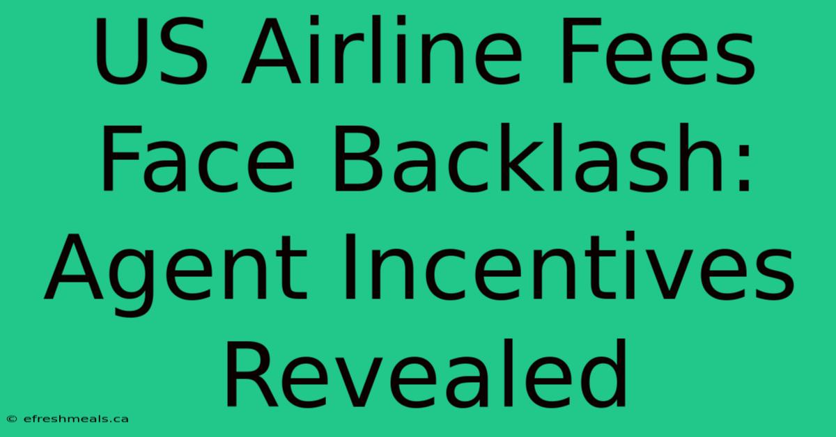 US Airline Fees Face Backlash: Agent Incentives Revealed