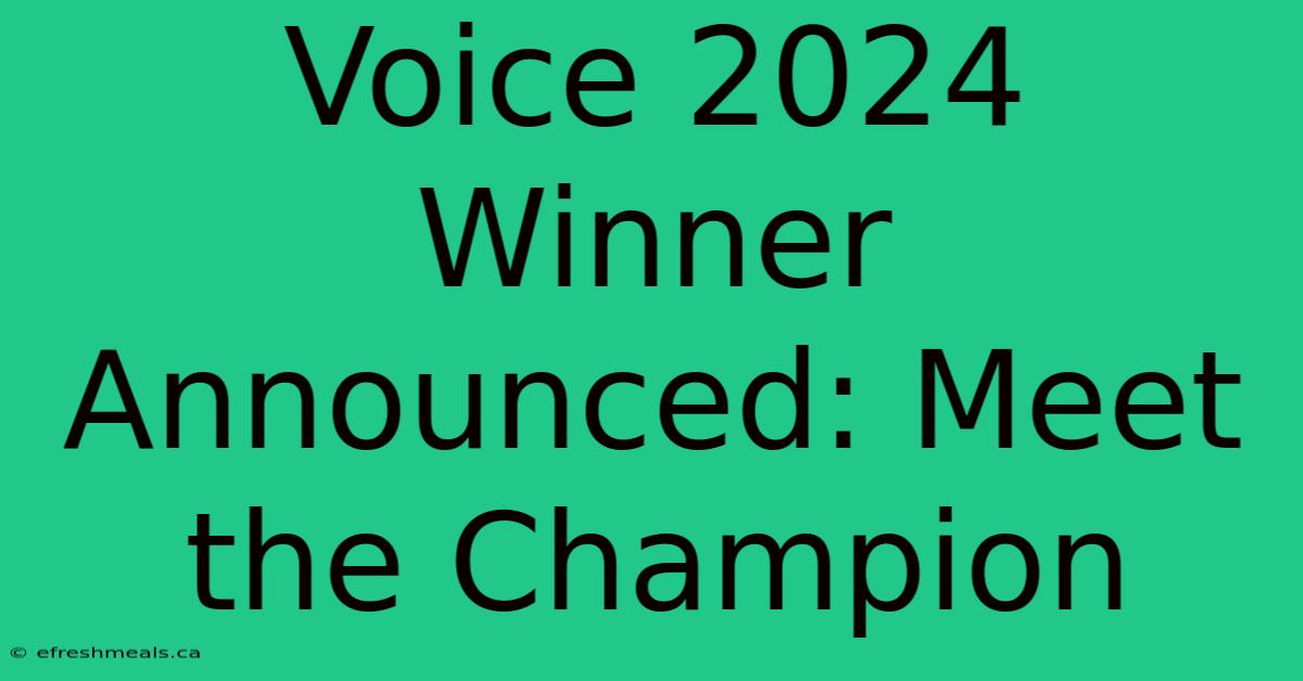 Voice 2024 Winner Announced: Meet The Champion