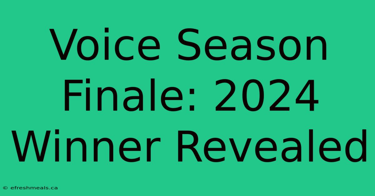 Voice Season Finale: 2024 Winner Revealed