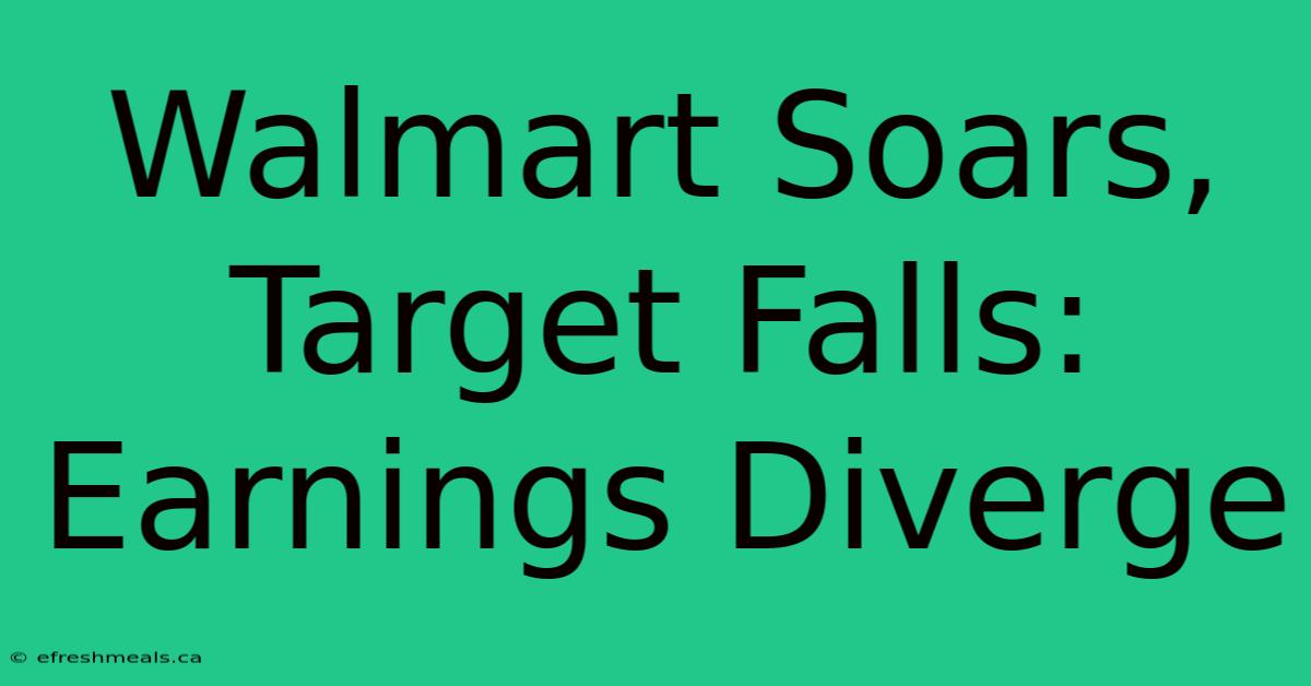 Walmart Soars, Target Falls: Earnings Diverge