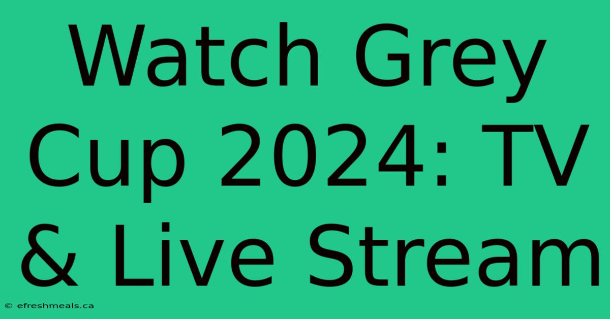 Watch Grey Cup 2024: TV & Live Stream