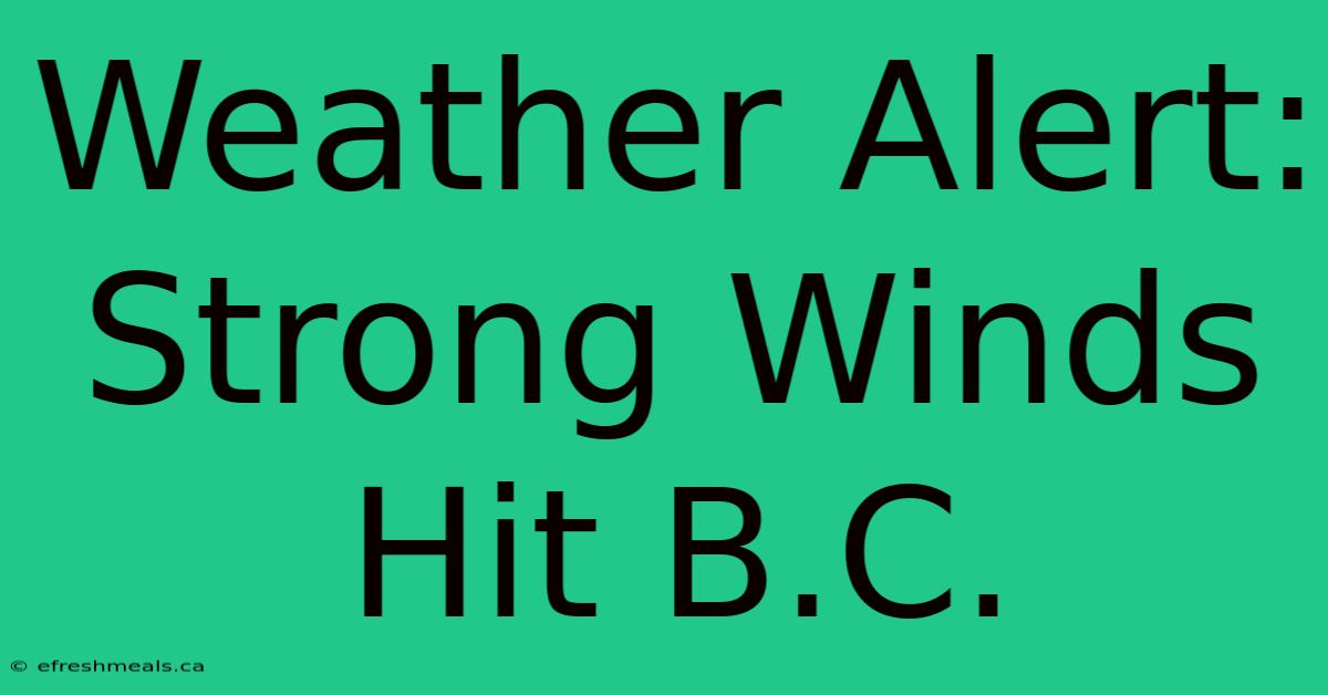 Weather Alert: Strong Winds Hit B.C.