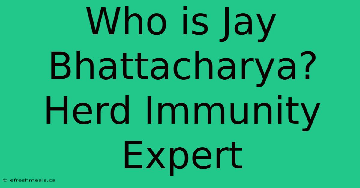 Who Is Jay Bhattacharya?  Herd Immunity Expert