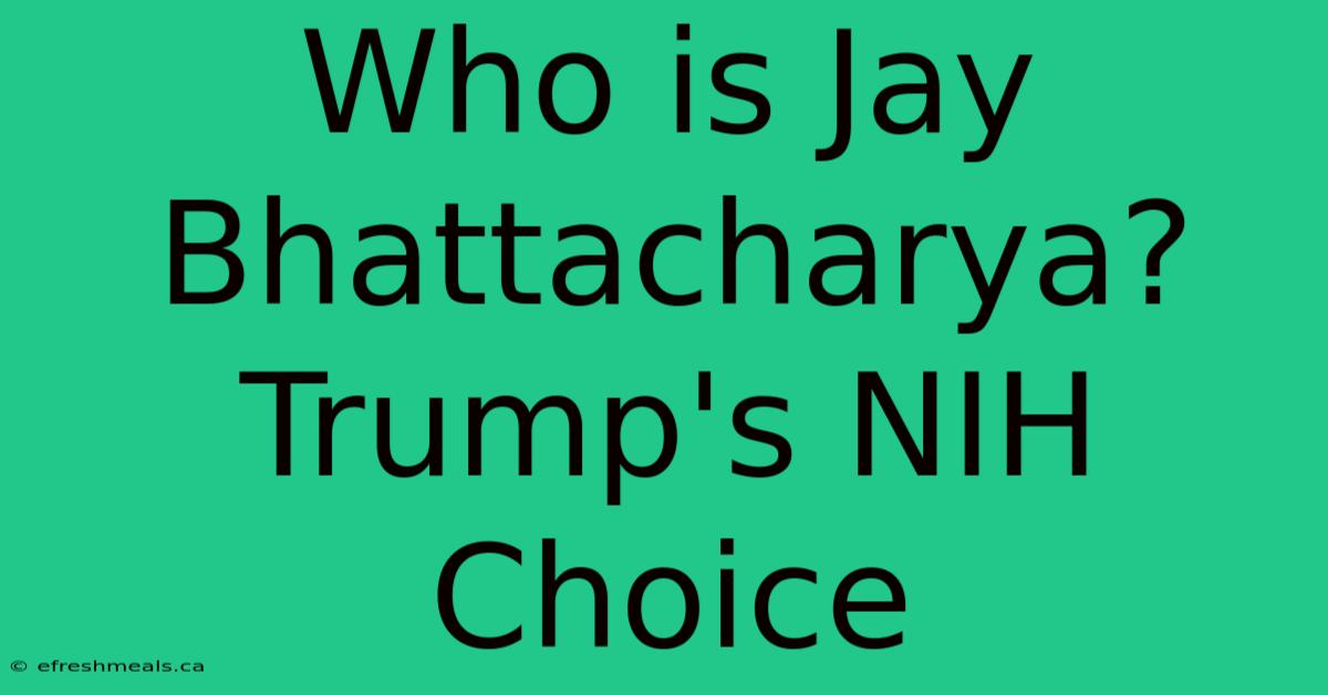 Who Is Jay Bhattacharya? Trump's NIH Choice