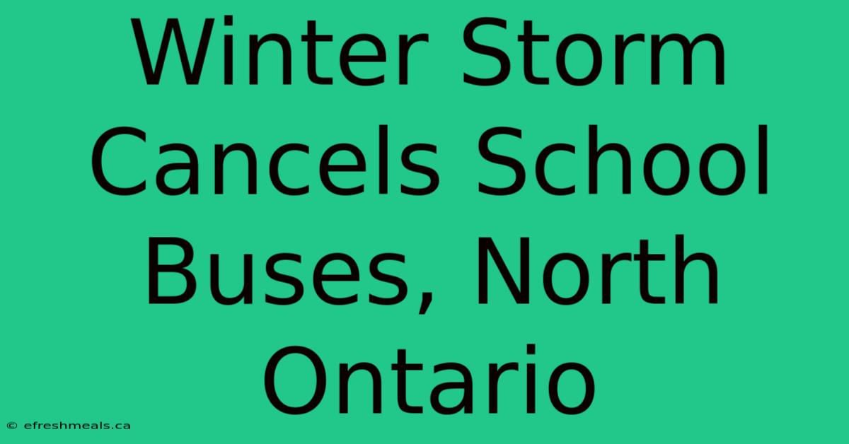 Winter Storm Cancels School Buses, North Ontario