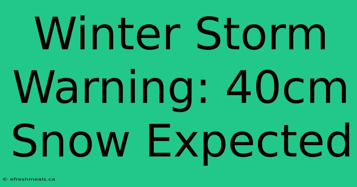 Winter Storm Warning: 40cm Snow Expected