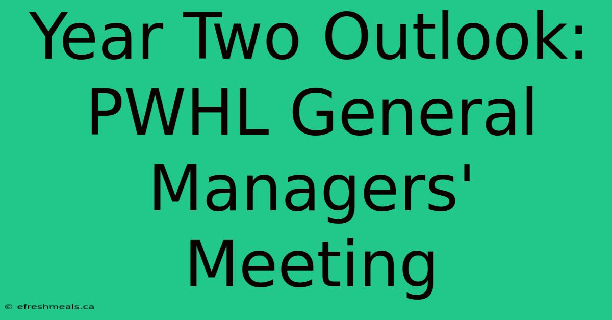 Year Two Outlook: PWHL General Managers' Meeting