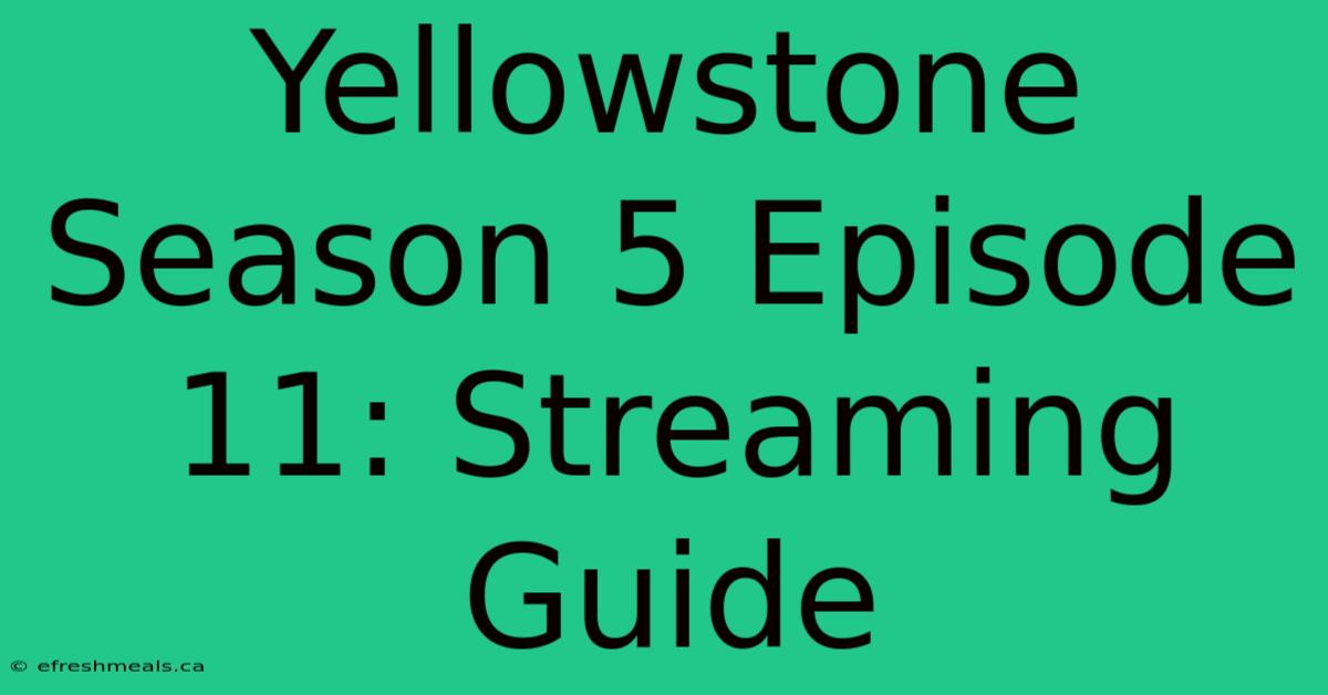 Yellowstone Season 5 Episode 11: Streaming Guide