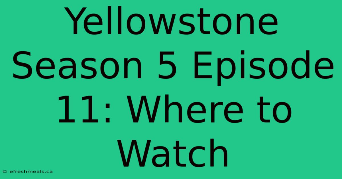 Yellowstone Season 5 Episode 11: Where To Watch