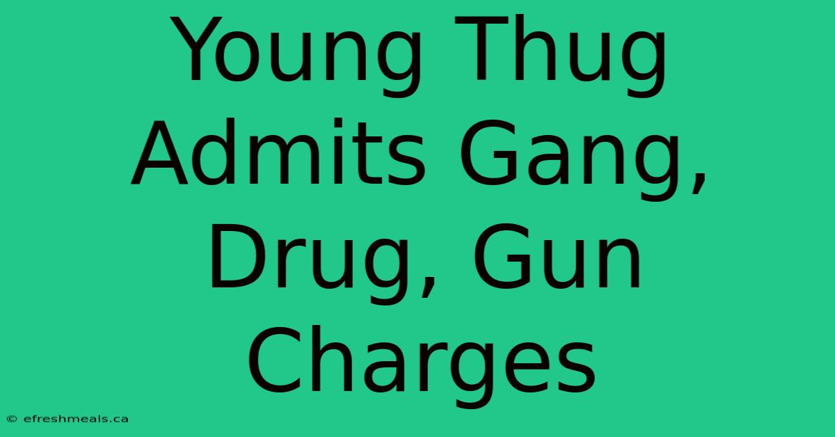 Young Thug Admits Gang, Drug, Gun Charges