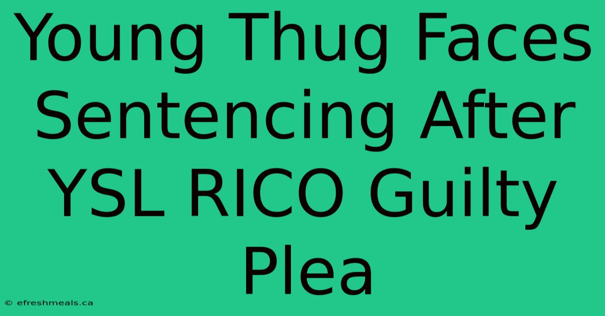 Young Thug Faces Sentencing After YSL RICO Guilty Plea