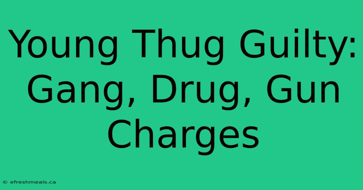 Young Thug Guilty: Gang, Drug, Gun Charges