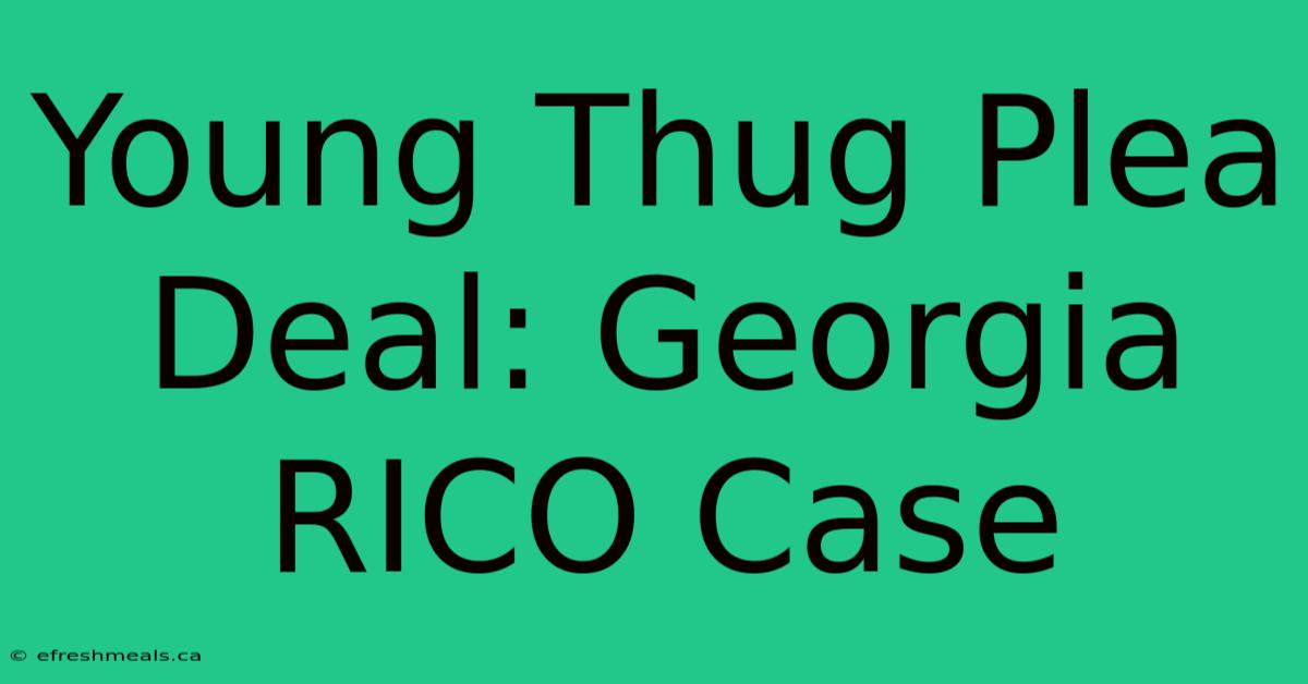 Young Thug Plea Deal: Georgia RICO Case