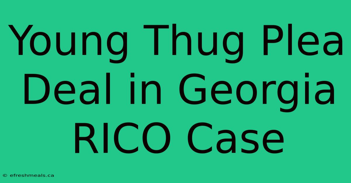 Young Thug Plea Deal In Georgia RICO Case