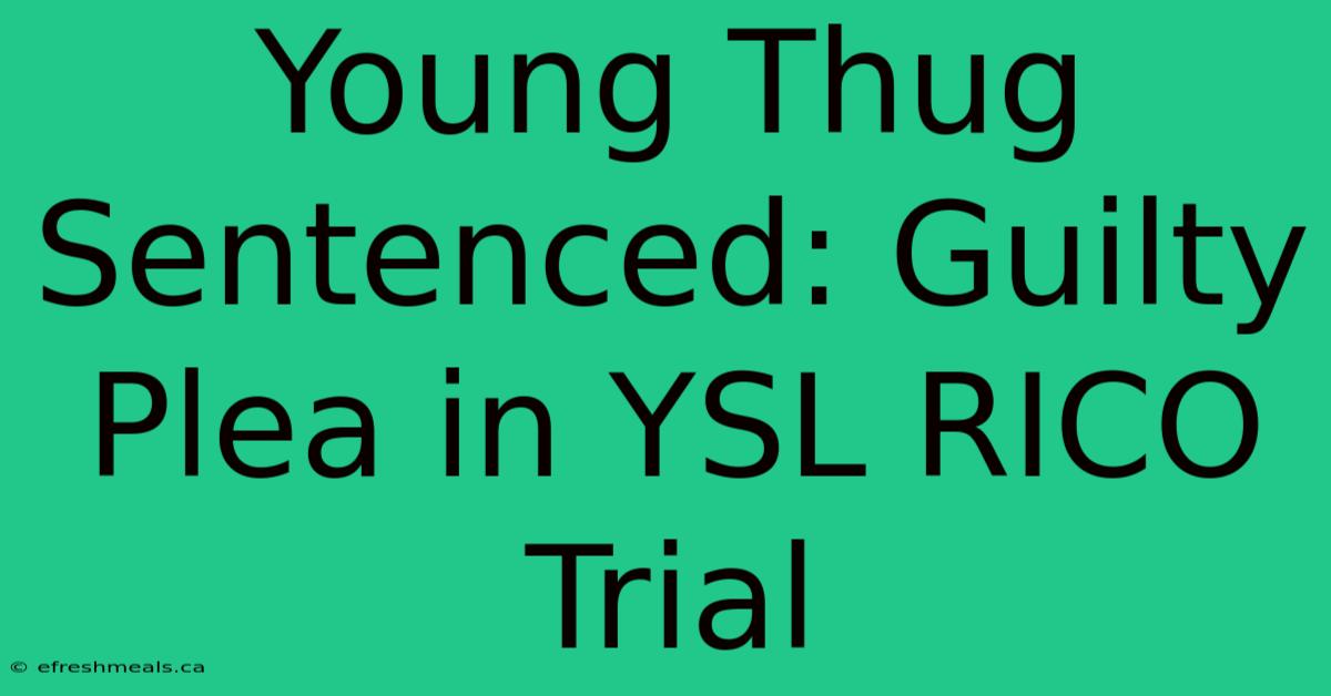 Young Thug Sentenced: Guilty Plea In YSL RICO Trial