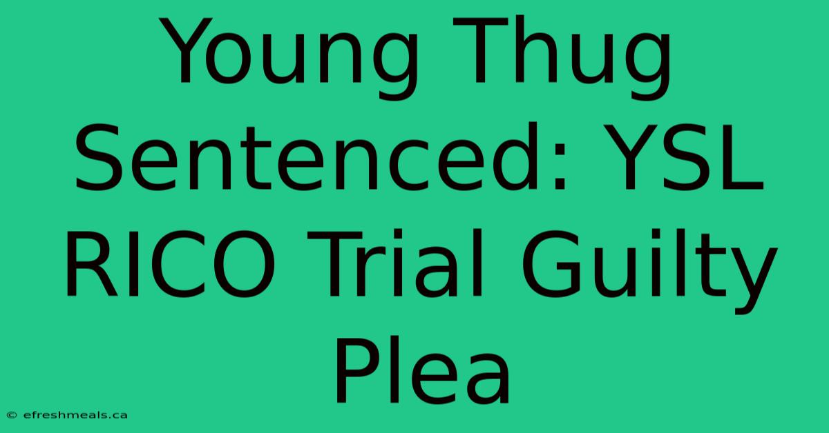 Young Thug Sentenced: YSL RICO Trial Guilty Plea 