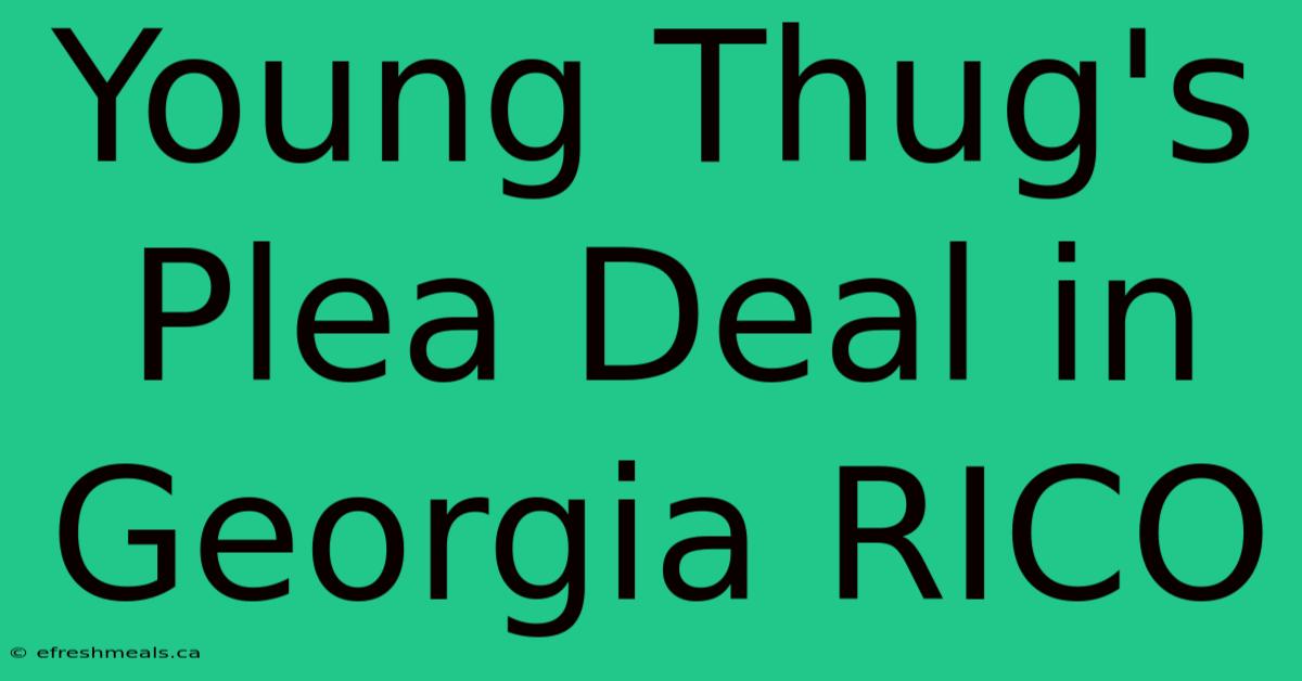 Young Thug's Plea Deal In Georgia RICO 